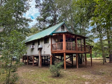 Caddo Lake Escape where the woods, water, and wildlife come - photo 49