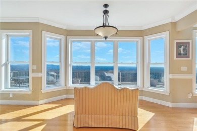 MAGNIFICANT MOUNTAIN VIEWS from almost every room in the home - photo 14