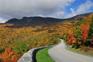 MAGNIFICANT MOUNTAIN VIEWS from almost every room in the home - photo 46