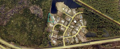27 acre lot mostly cleared - No HOA, AE Flood Zone, water/sewer - photo 1