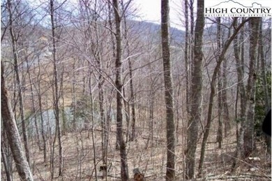 (private lake, pond, coastal) Lot For Sale in Todd North Carolina