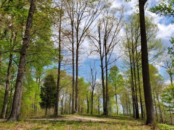 ACREAGE NEAR THE LAKE with a VIEW - DOCK POSSIBLE! - Lake Lot For Sale in Falls Of Rough, Kentucky