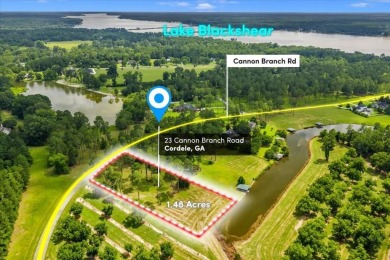 Lake Lot For Sale in Cordele, Georgia