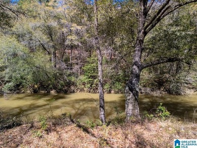 Blue Water Bend is a premier gated community in Jasper, AL - photo 13