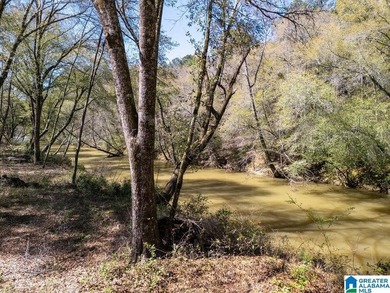 Blue Water Bend is a premier gated community in Jasper, AL - photo 14