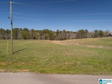 Blue Water Bend is a premier gated community in Jasper, AL - photo 17