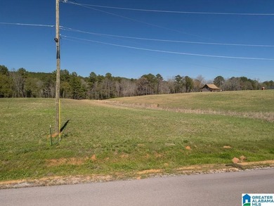 Blue Water Bend is a premier gated community in Jasper, AL - photo 18