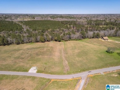 Blue Water Bend is a premier gated community in Jasper, AL - photo 20