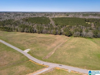 Blue Water Bend is a premier gated community in Jasper, AL - photo 21