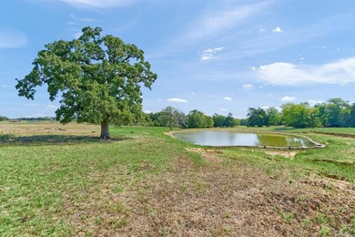 (private lake, pond, coastal) Acreage Active Under Contract in Saint Jo Texas