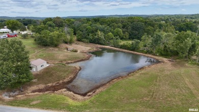 (private lake, pond, creek) Acreage For Sale in Vienna Illinois