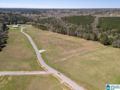 Blue Water Bend is a premier gated community in Jasper, AL - photo 22