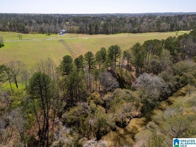 Blue Water Bend is a premier gated community in Jasper, AL - photo 28