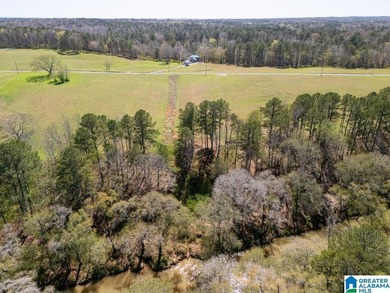 Blue Water Bend is a premier gated community in Jasper, AL - photo 29