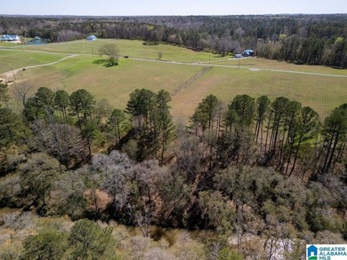Blue Water Bend is a premier gated community in Jasper, AL - photo 30
