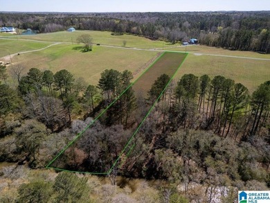 Blue Water Bend is a premier gated community in Jasper, AL - photo 31