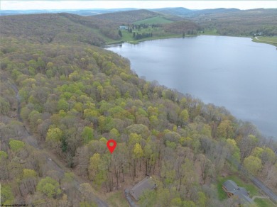 (private lake, pond, creek) Lot For Sale in Terra Alta West Virginia