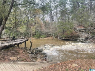 Blue Water Bend is a premier gated community in Jasper, AL - photo 34