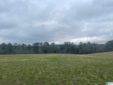 Blue Water Bend is a premier gated community in Jasper, AL - photo 36
