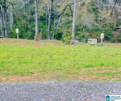 Blue Water Bend is a premier gated community in Jasper, AL - photo 37