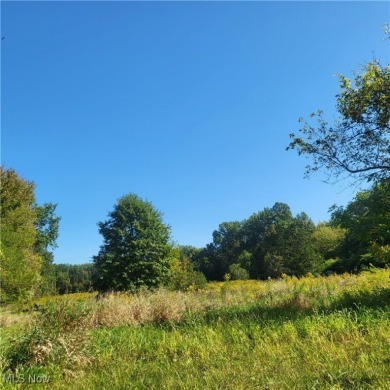 Lake Erie - Lorain County Acreage For Sale in Vermilion Ohio