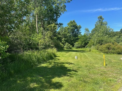 Lake Michigan - Berrien County Lot For Sale in New Buffalo Michigan