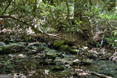 (private lake, pond, creek) Lot For Sale in Hayesville North Carolina