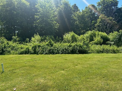 Lake Michigan - Berrien County Lot For Sale in New Buffalo Michigan