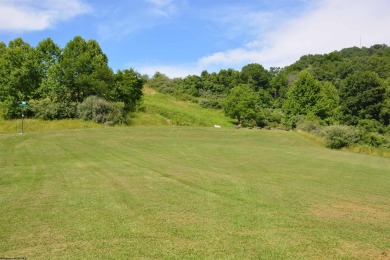 Lake Lot For Sale in Horner, West Virginia