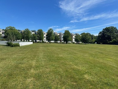 Lake Michigan - Berrien County Lot For Sale in New Buffalo Michigan