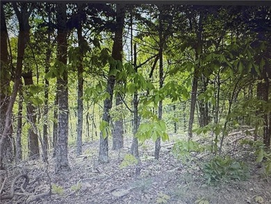 Carters Lake Lot For Sale in Other Georgia