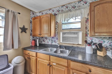 Lake View and Neighborhood Boat Ramp-AFFORDABLE PRICE, TOO! - photo 13