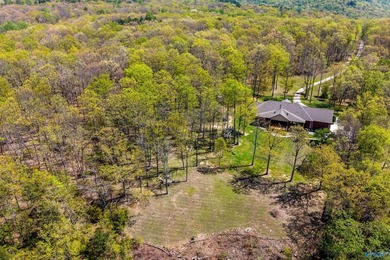 This fabulous 13 acre estate-fully stocked pond, amazing bluff - photo 46