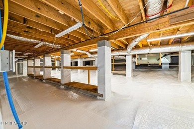 Experience the best of Norris Lake living at 1380 E Norris Pt Rd - photo 47