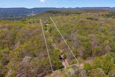 This fabulous 13 acre estate-fully stocked pond, amazing bluff - photo 47