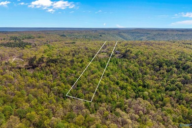 This fabulous 13 acre estate-fully stocked pond, amazing bluff - photo 48
