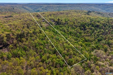 This fabulous 13 acre estate-fully stocked pond, amazing bluff - photo 50