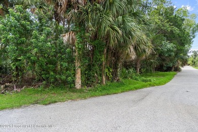 Weeki Wachee Gardens Area Lot For Sale in Weeki Wachee Florida