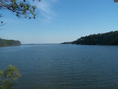 Lake Monticello Acreage For Sale in Blair South Carolina