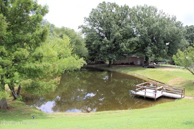 Located in South DeSoto Estates on 1.52 acres in the - photo 31