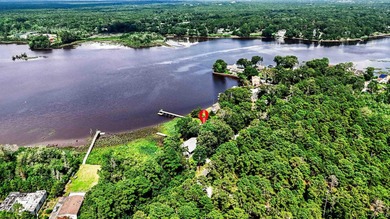 Experience luxurious riverfront living in this fully renovated - photo 44