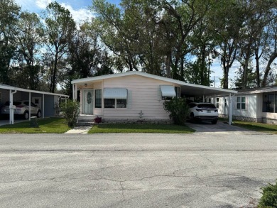 (private lake, pond, creek) Home For Sale in Lakeland Florida