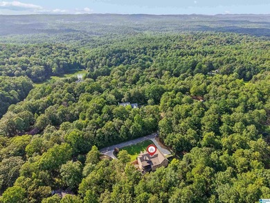 Exceptional custom-built luxury home with over 5,000 sq. ft. on - photo 6