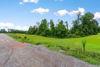 Gorgeous open/wooded 11.9 acres nestled between Smithville and - photo 12
