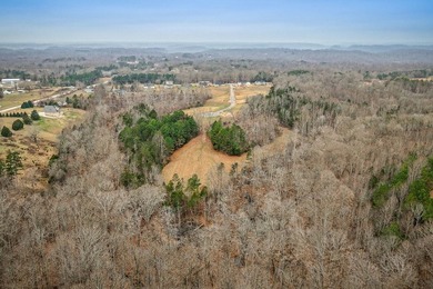 Gorgeous open/wooded 11.9 acres nestled between Smithville and - photo 16