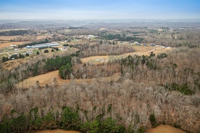 Gorgeous open/wooded 11.9 acres nestled between Smithville and - photo 17
