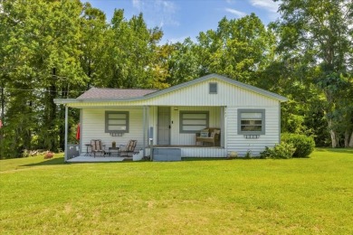 Lake Home For Sale in Cobb, Georgia