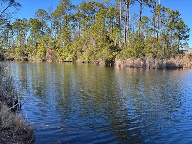 Lake Stillwater Lot For Sale in Saint Simons Georgia