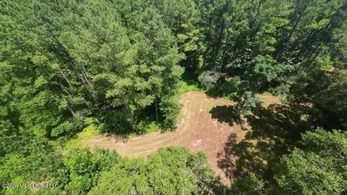 Set across 397 acres in Jefferson Davis County, Mississippi - photo 11