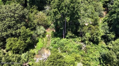 Set across 397 acres in Jefferson Davis County, Mississippi - photo 13